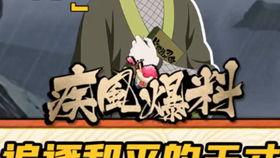 火影最新爆料内容鹦鹉,新篇章揭秘，神秘鹦鹉助力忍者世界风云变幻