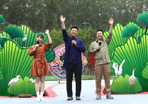 艺涵爆料墨子视频大全最新,艺涵独家爆料，揭秘墨子神秘面纱