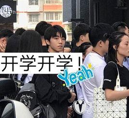 开学爆料的视频大全最新,校园生活新篇章精彩回顾