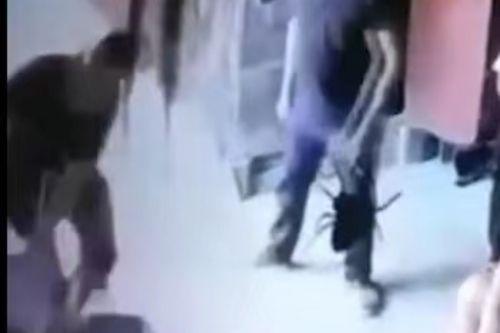 湖北爆料事件视频最新消息,真相揭晓，影响持续发酵