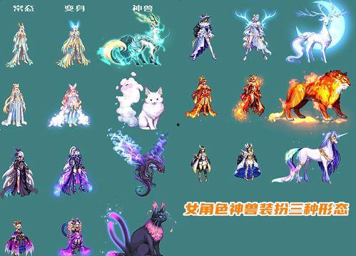 dnf最新龙袍爆料,神秘龙袍亮相，玩家期待新版本